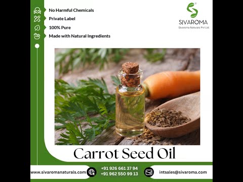 Carrot Seed Oil