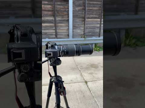 Video thumbnail for Video Review 3