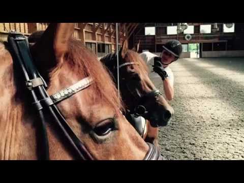 Don Juan de Hus - May 2015