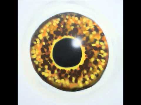 The Black Ghosts - Sanguinella (When Animals Stare)