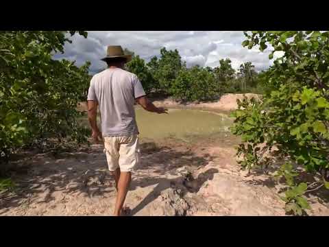 Chácara 28 ha à Venda em Formosa GO | Represa e Poço Artesiano | R$ 220 Mil