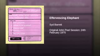 Effervescing Elephant