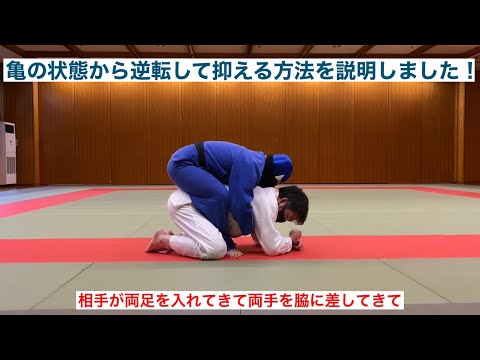 【柔道寝技】自分が亀の状態から逆転して抑える方法を説明しました！