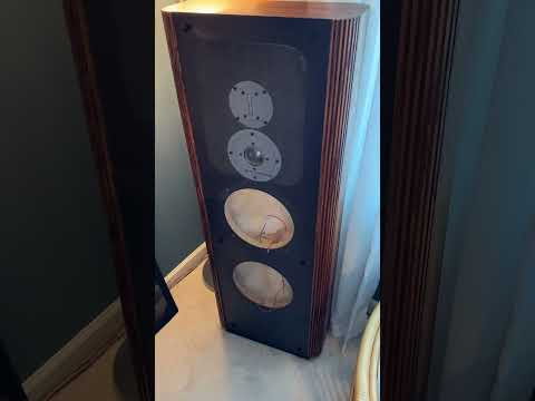 Vintage Infinity Speaker Buying and Repair Tips