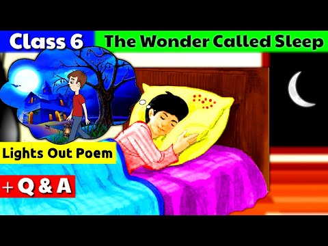 The Wonder Called Sleep Class 6 // हिंदी में