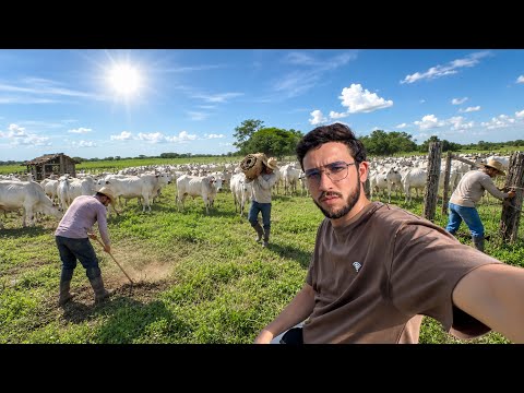 Así cambio la realidad de la vida en BARINAS | Nadie habla de esto… 🇻🇪