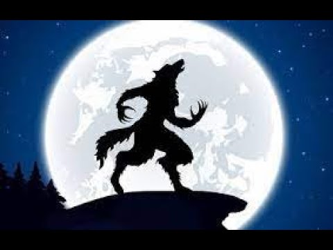 DJ Ande - The Wolf Revised - New Oldskool Jungle Drum n Bass - Karma Recordings