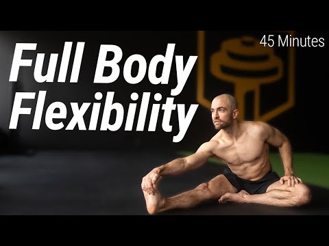 45 Minute Full Body Flexibility Workout | No Talking