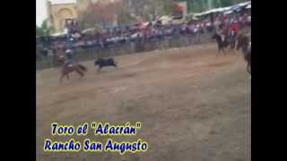 preview picture of video 'Torneo de lazo chocholá.- El Alacrán'