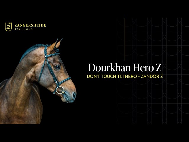 Half-brother of the grandmother is the Grand Prix CSI 1.60m jumping Stallion Dourkhan Hero Z with rider Christian Ahlmann.