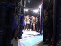 All Respect Between The Champion Volkanovski And The Legend The Korean Zombie