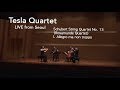 Tesla Quartet | Schubert String Quartet No. 13 Rosamunde I. Allegro ma non troppo