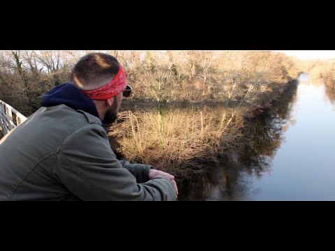 Vinir - Posé (Clip Officiel) #Vinir