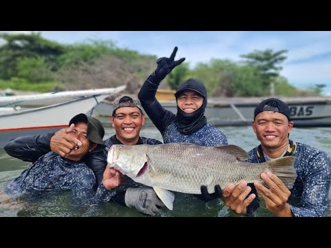 EP710-P2 - Baramundi Catch and Cook | Another Dream Fish Unlocked