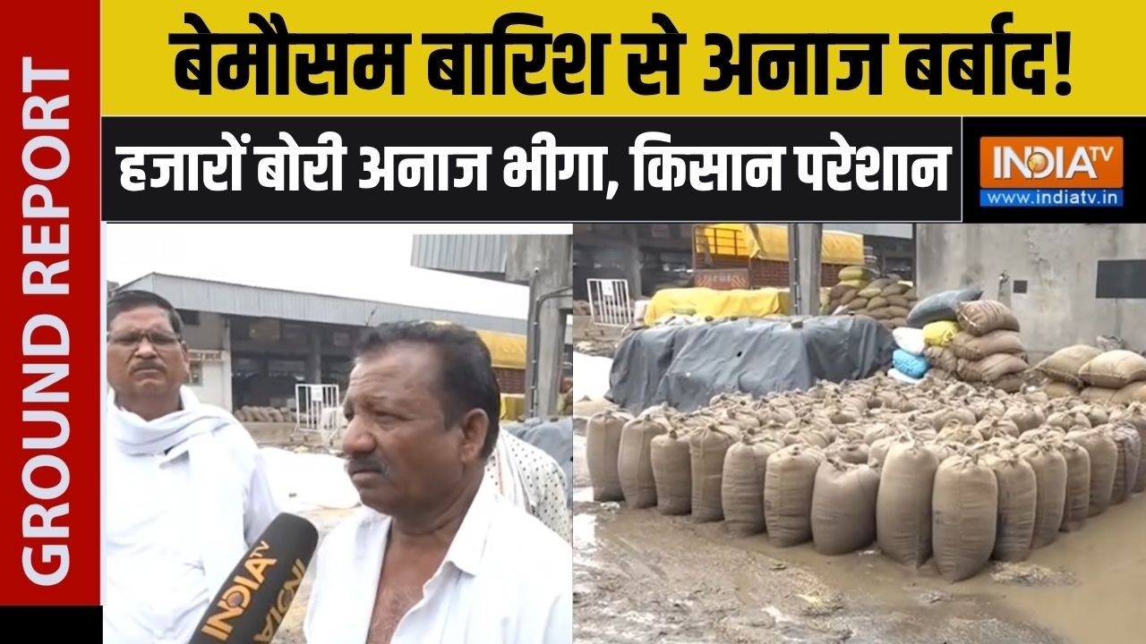 Nagpur Mandi Grains Destroyed: बेमौसम बारिश से अनाज बर्बाद!, हजारों बोरी ?