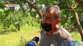 «Ոչ մի աջակցության պետությունից չկա». բերք մշակող գյուղացիները հայտնվել են անելանելի վիճակում