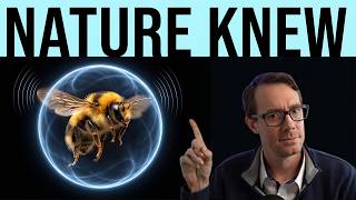 Bees Are Using Zero Point Energy to Fly