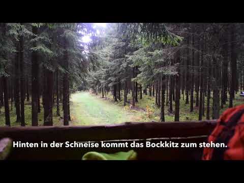 Drückjagd Tuttlingen 2019