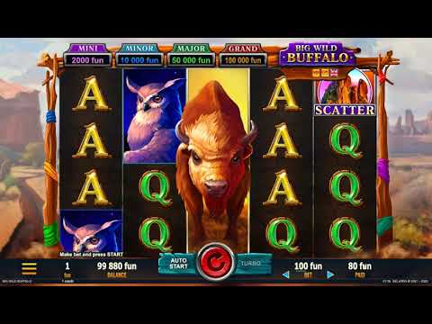 Big Wild Buffalo – Video Gameplay