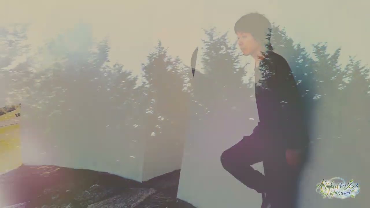 木漏れ日のダンス (Dappled Light)  thumbnail