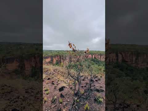 Parque Nacional da Chapada dos Guimarães- MT #travel #pakhalabhatakupakudi #turismo