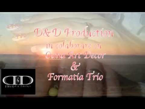 Nunta Anului 2014 Bacau