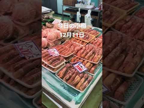 ¡Sakaimachi y el mercado estaban llenos de gente! Los mariscos alineados en el mercado comienzan a parecer de fin de año 😊 El otoño de camarón mantis casi ha terminado. La carne queda firme y deliciosa 😋 #Otaru