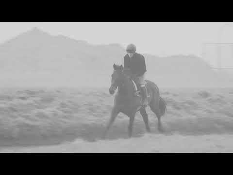 Cheltenham Preview - Saint Calvados Feature