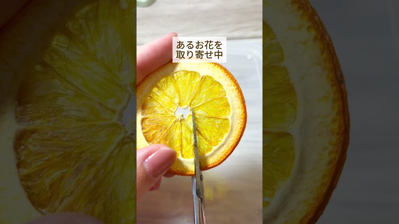 【5月のイベントといえば？🌸】#ハンドメイド #ハンドメイド作家 #レジン #レジン作家#押しフルーツ #スマホケース #オレンジスマホケース #フルーツ