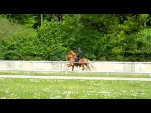 Dritteltreffen Nord - Tígull fra Kleiva - www.isibless.de