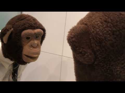 Alejandro – Lite deppig