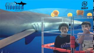 DIA 3 Expo Tiburon24