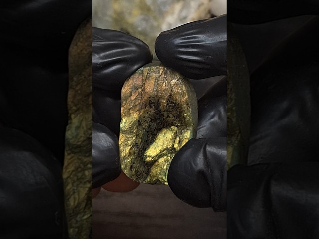 حجر طاؤوس طبيعي خام مصقول وجه واحد