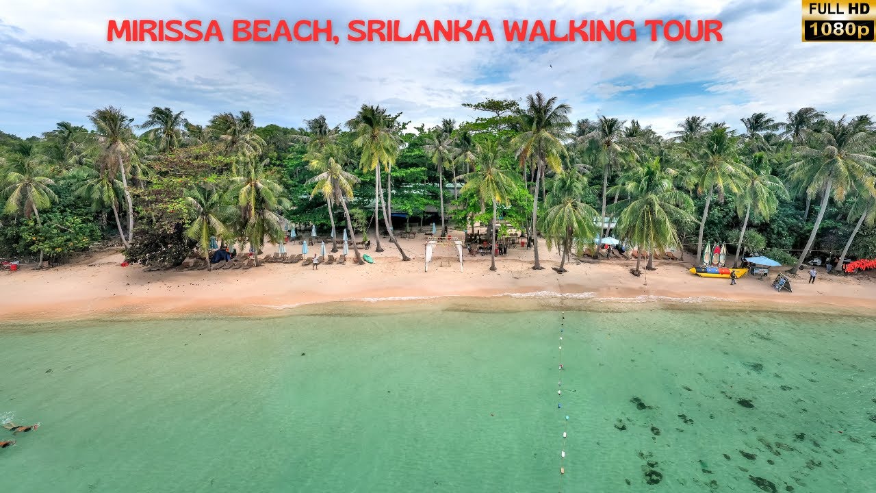 Embark on a captivating walking tour at Mirissa Beach.