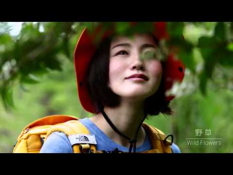 HIKE IN LAKE YAMANAKAKO