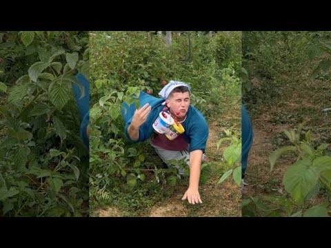 Mama i maline | 4. DIO 🤣 BALKAN | seadhr