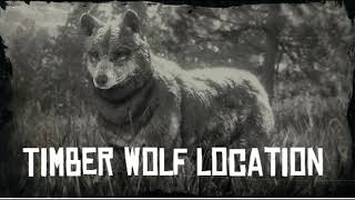 RDR2: Timber Wolf Location *SPAWN LOCATION*
