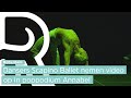 Dansende mensen op de vloer van Annabel: Geen illegaal feest, maar balletdansers in een bubbel