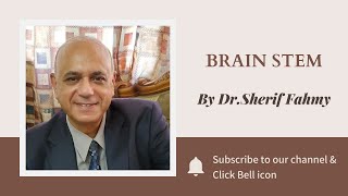 Dr. Sherif Fahmy - Brain stem