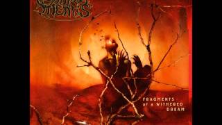 Compos Mentis - Drained