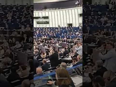 ‘Send them back’ chants in EU Parliament after anti-migrant bill passes | AJ #shorts
