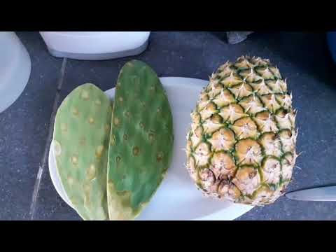 PIÑA Y NOPAL. Conoce sus BENEFICIOS y PROPIEDADES MEDICINALES.