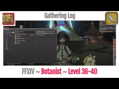 FFXIV Botanist Gathering Log Level 36-40 - A Realm Reborn
