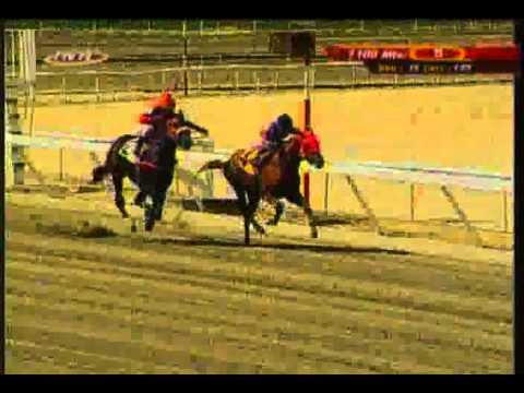 Resumen Sábado, 28 de Febrero de 2015 - La Rinconada