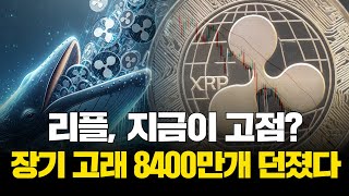  리플, 지금이 고점?…장기 고래 8400만개 던졌다