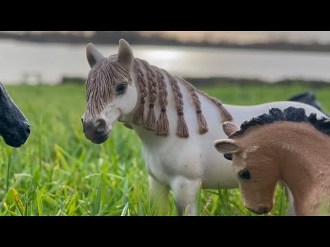 The Chosen One - Schleich horse movie part 2