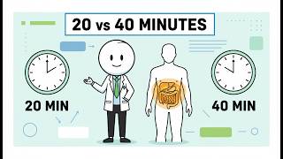 What Happens to Visceral Fat When You Walk 20 vs 40 Minutes? (Science Explained)