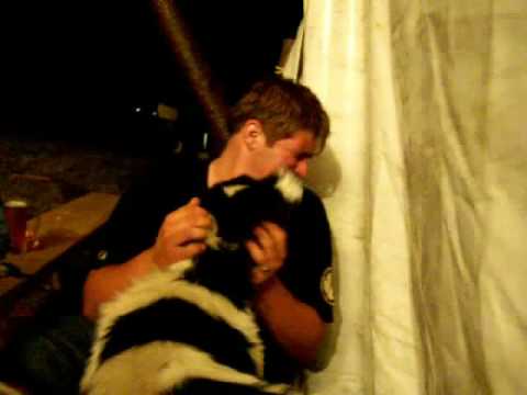 Ach ta láska nebeská