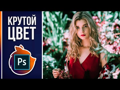 Курс Фотошоп с Нуля 1 Создание документа Основы интерфейса Навигация