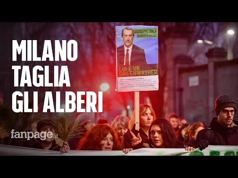 Milano, corteo contro il taglio degli alberi al Politecnico: "Vergogna, altro che città green"